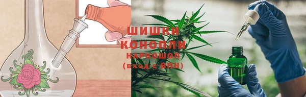jwh Бородино