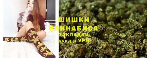spice Бронницы
