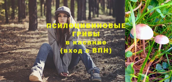 spice Бронницы